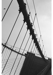Fotografia "The Brooklyn Bridge 01 - New York - 2012" by Carlos Gondim